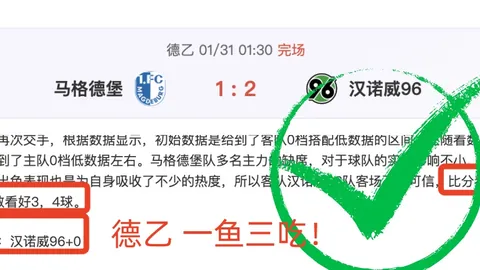 勒沃库森点球绝杀，柏林联合不幸小负德甲